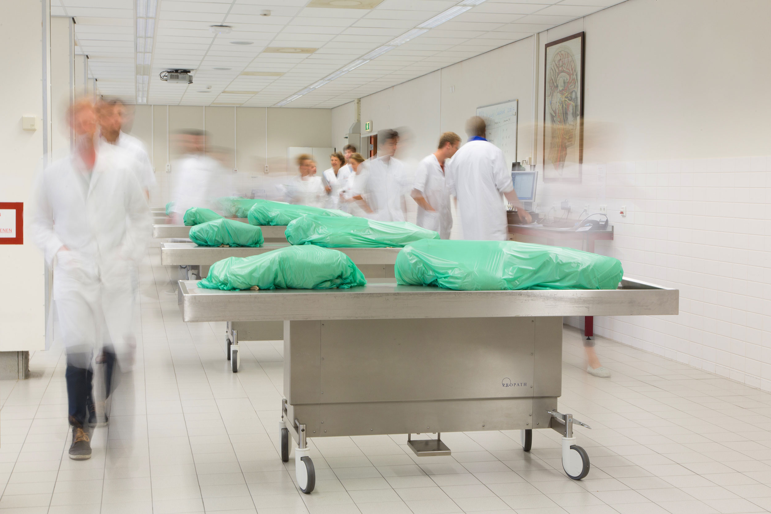 Enatom UMCG disection room